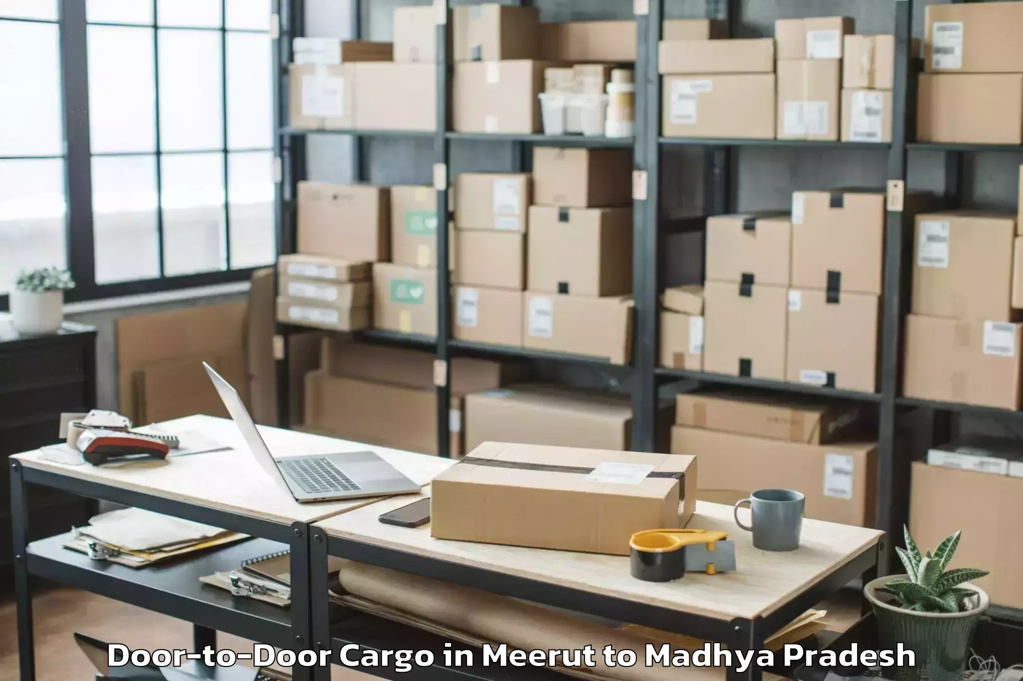 Hassle-Free Meerut to Dhar Door To Door Cargo